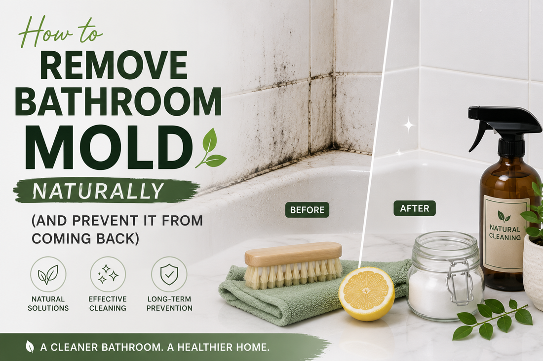 Part 3 How to Prevent Bathroom Mold from Coming Back