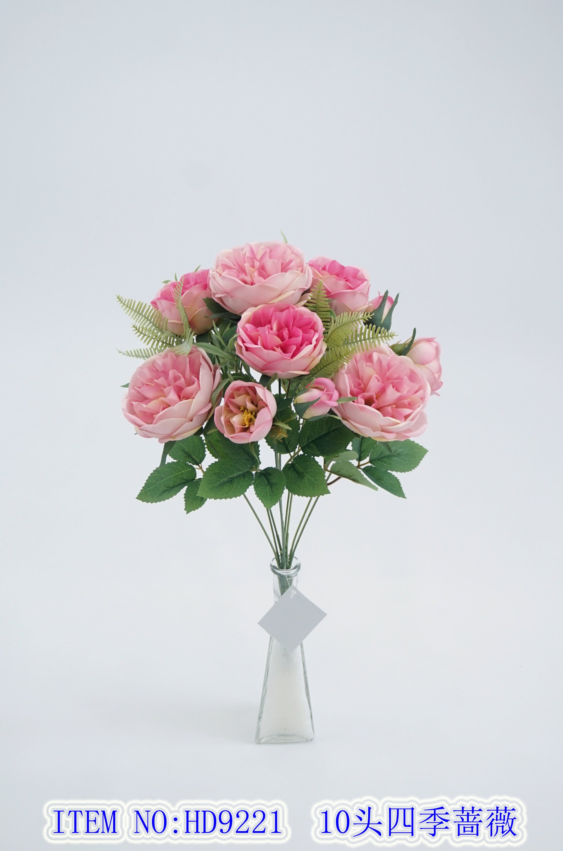 10 Four Seasons Rose