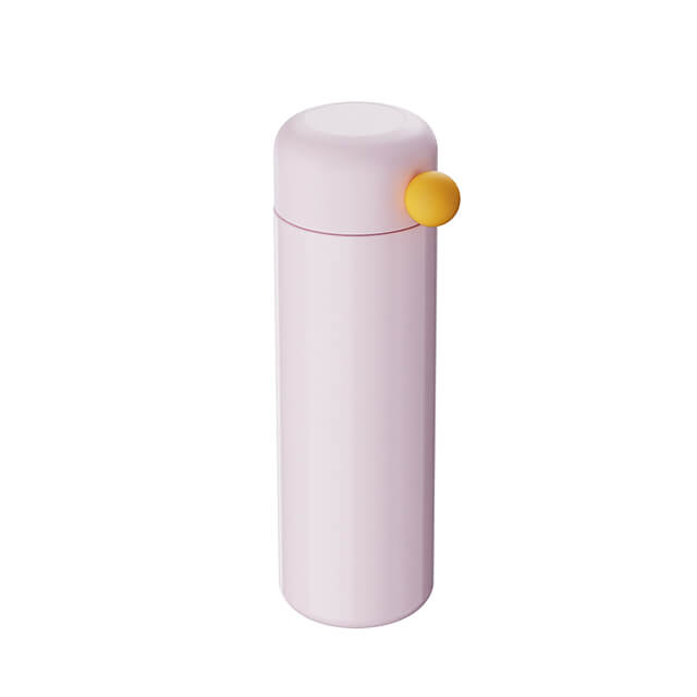 450ml Insulated Water Bottle V816
