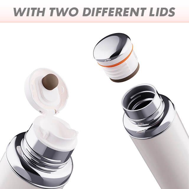 450ml Stainless Steel Water Bottle V841Z