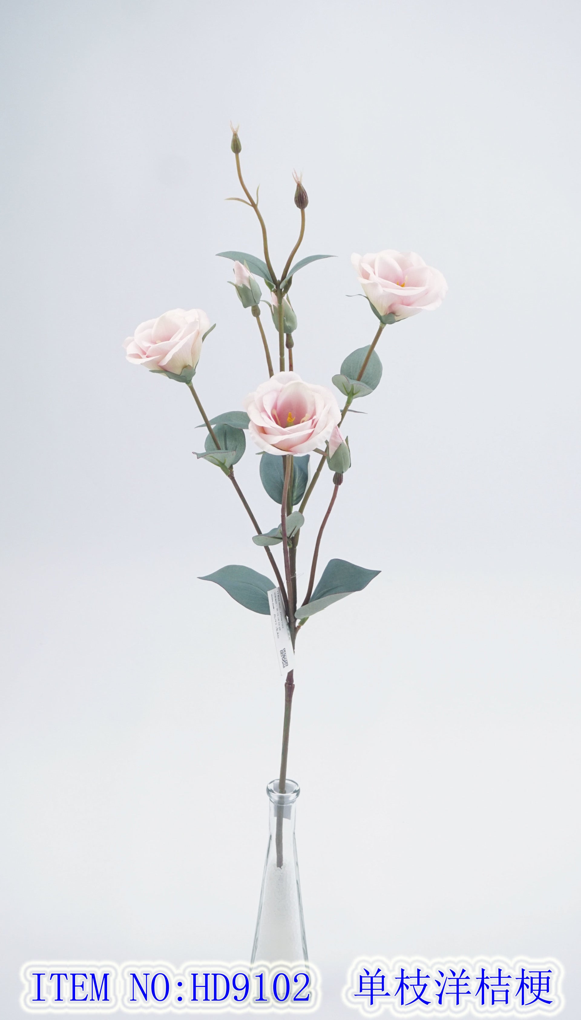 Eustoma grandiflorum