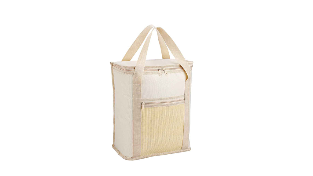 Picnic Cooler Bag Best Polyester Double Handle