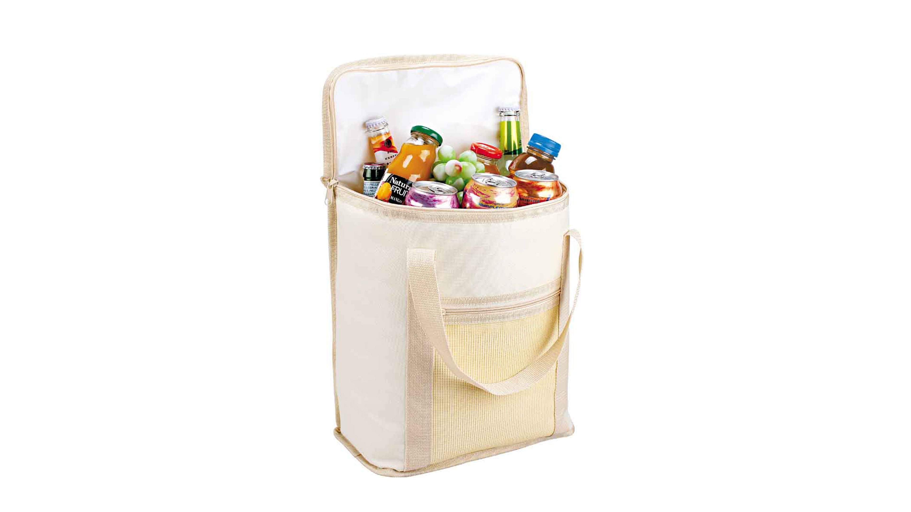 Picnic Cooler Bag Best Polyester Double Handle