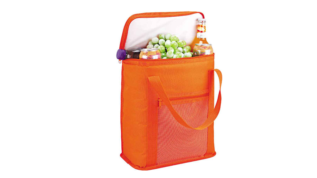 Picnic Cooler Bag Best Polyester Double Handle