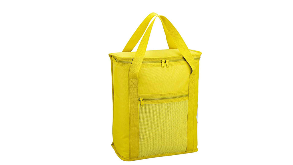 Picnic Cooler Bag Best Polyester Double Handle