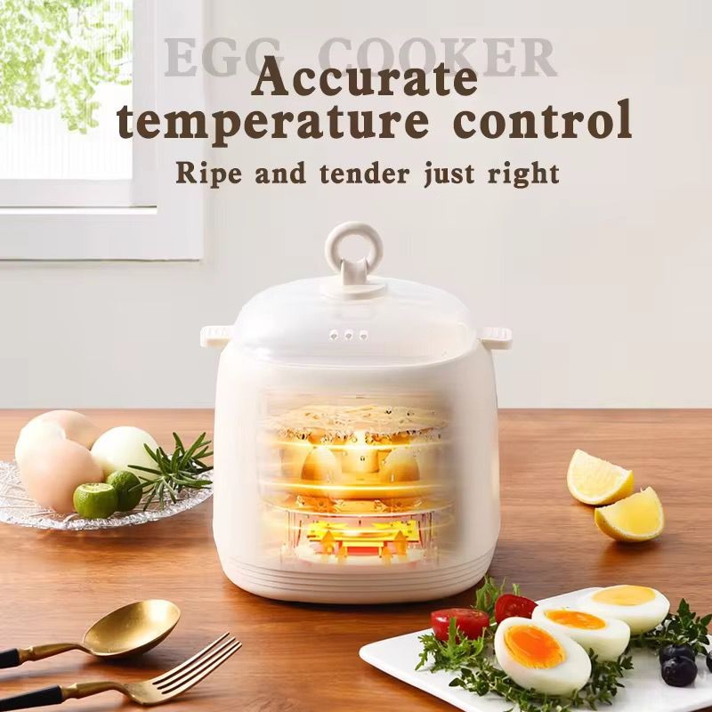 Rapid Electric Egg Cooker