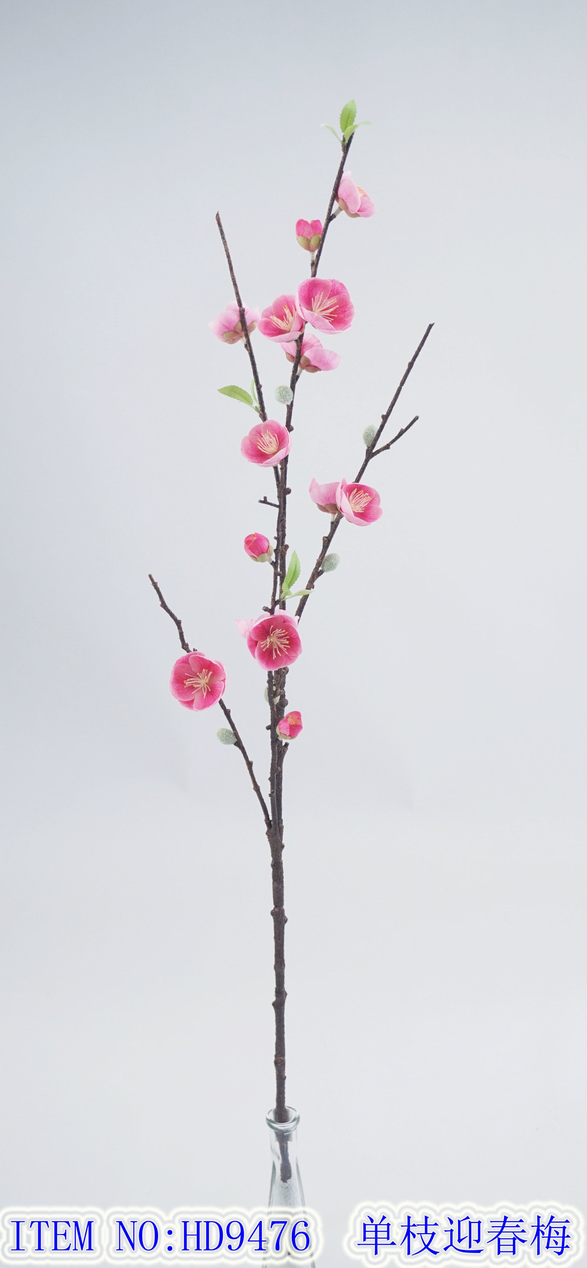 Single-branch Yingchun plum