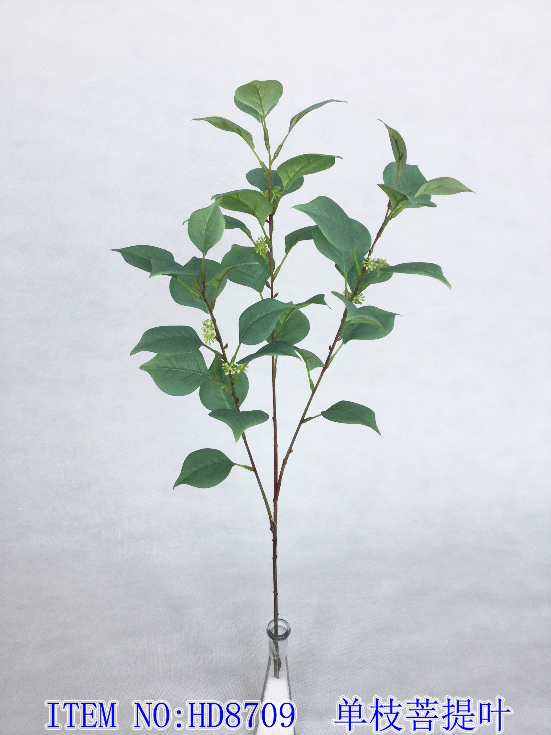 Single Bodhi Leaf