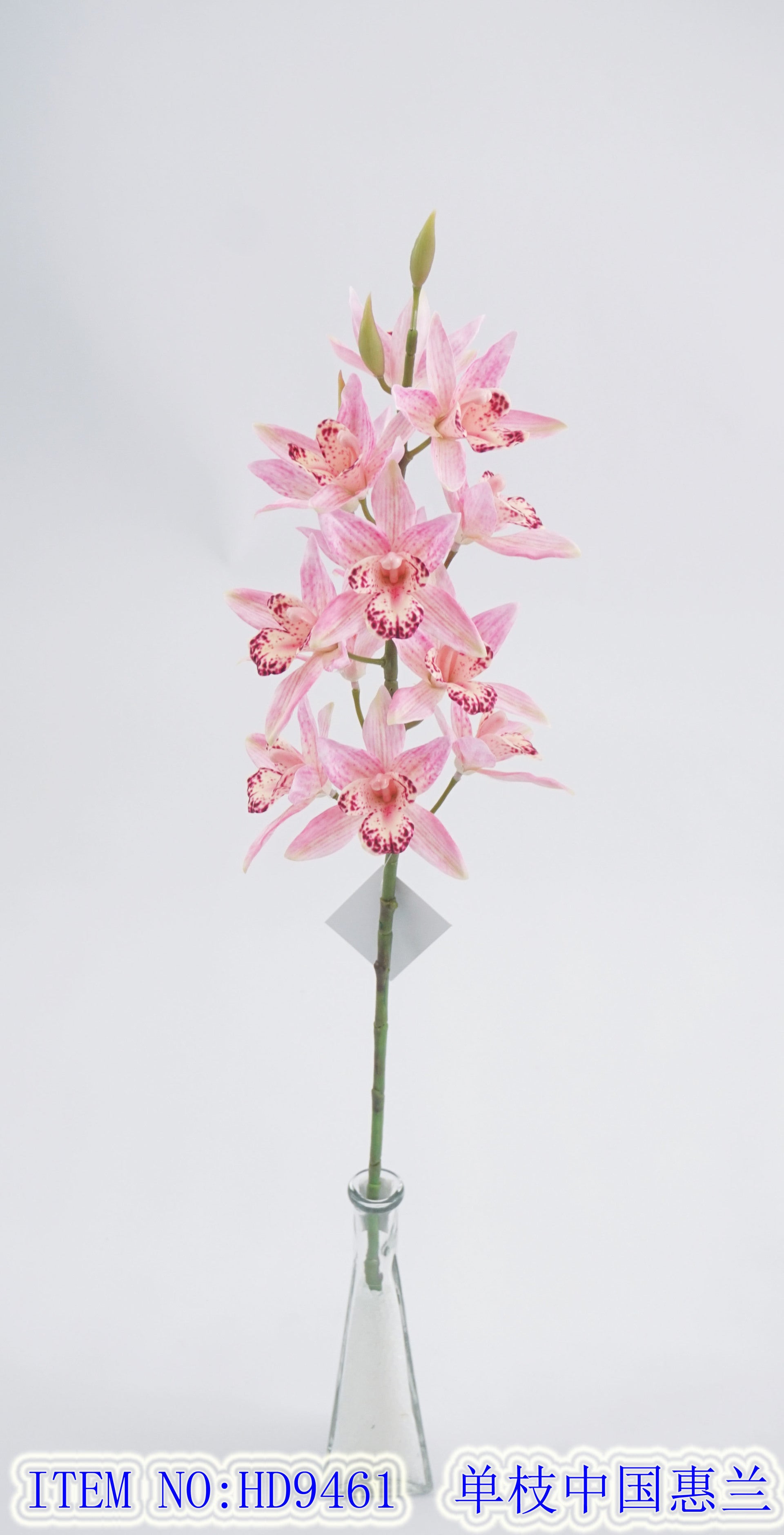 Single Branch China Whelan