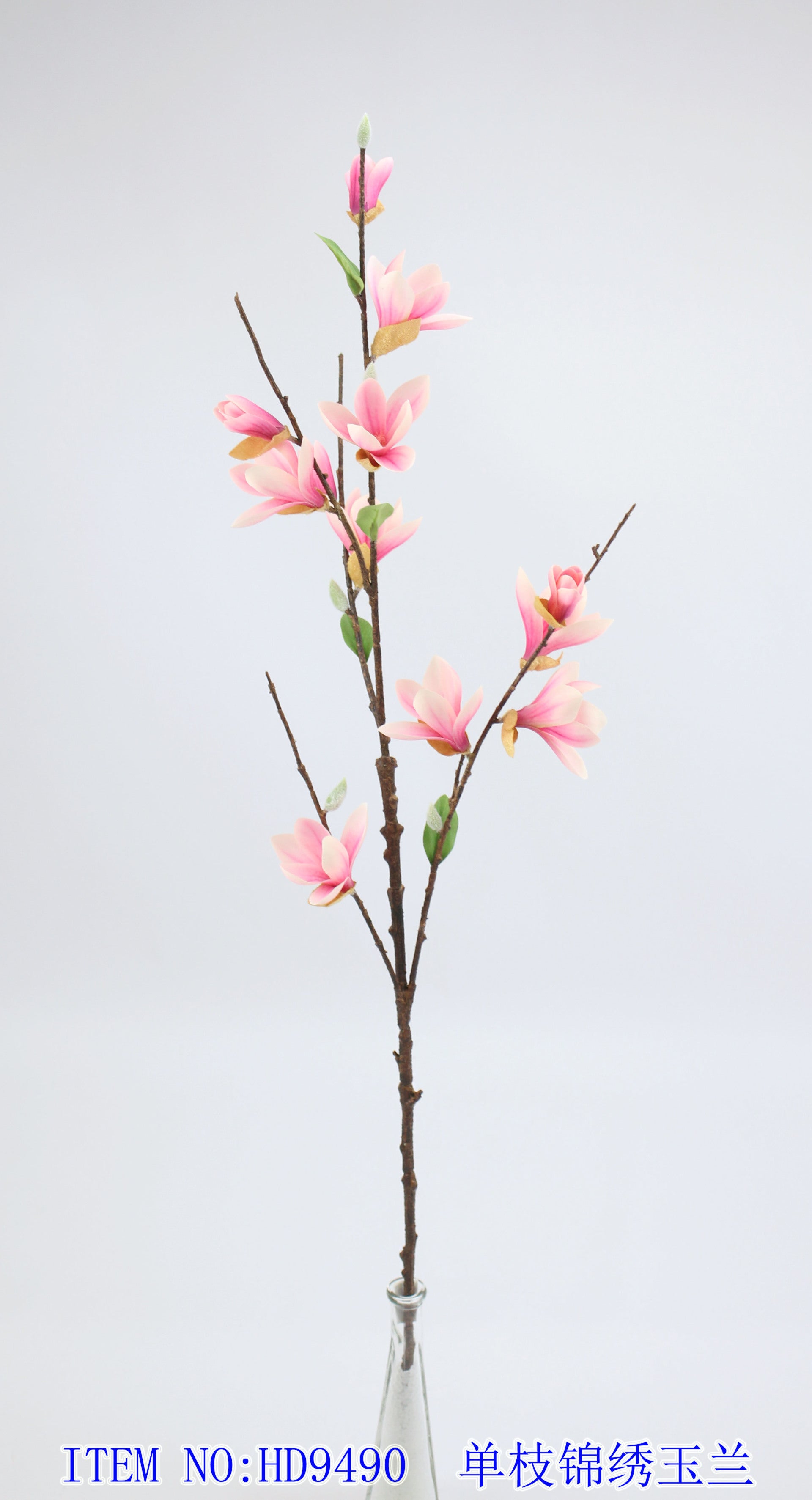 Single Splendid Magnolia