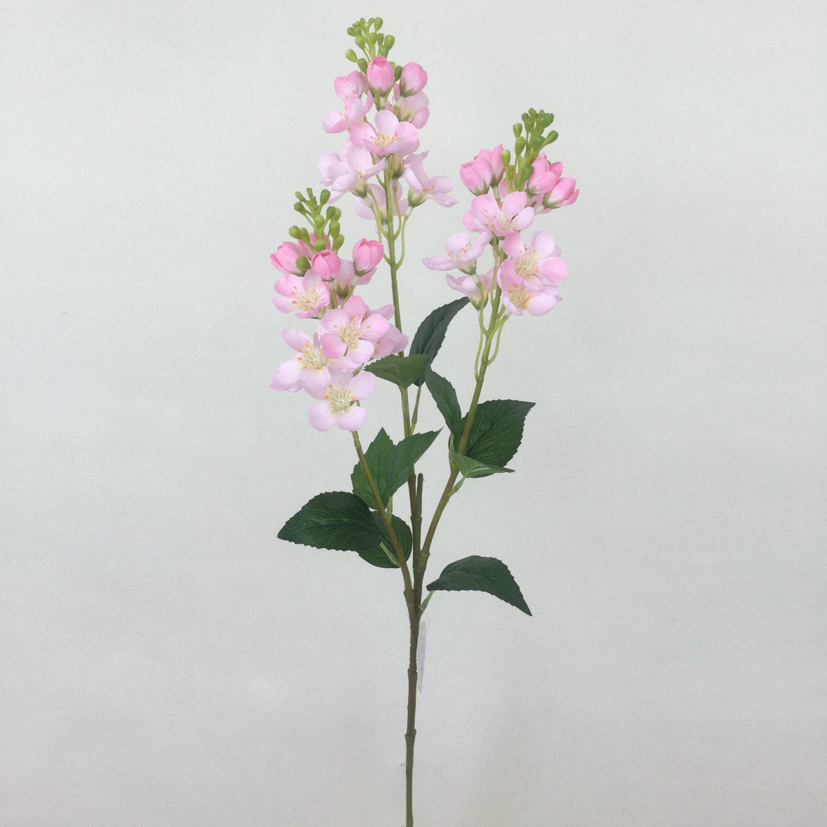 Single Trigeminal Flower