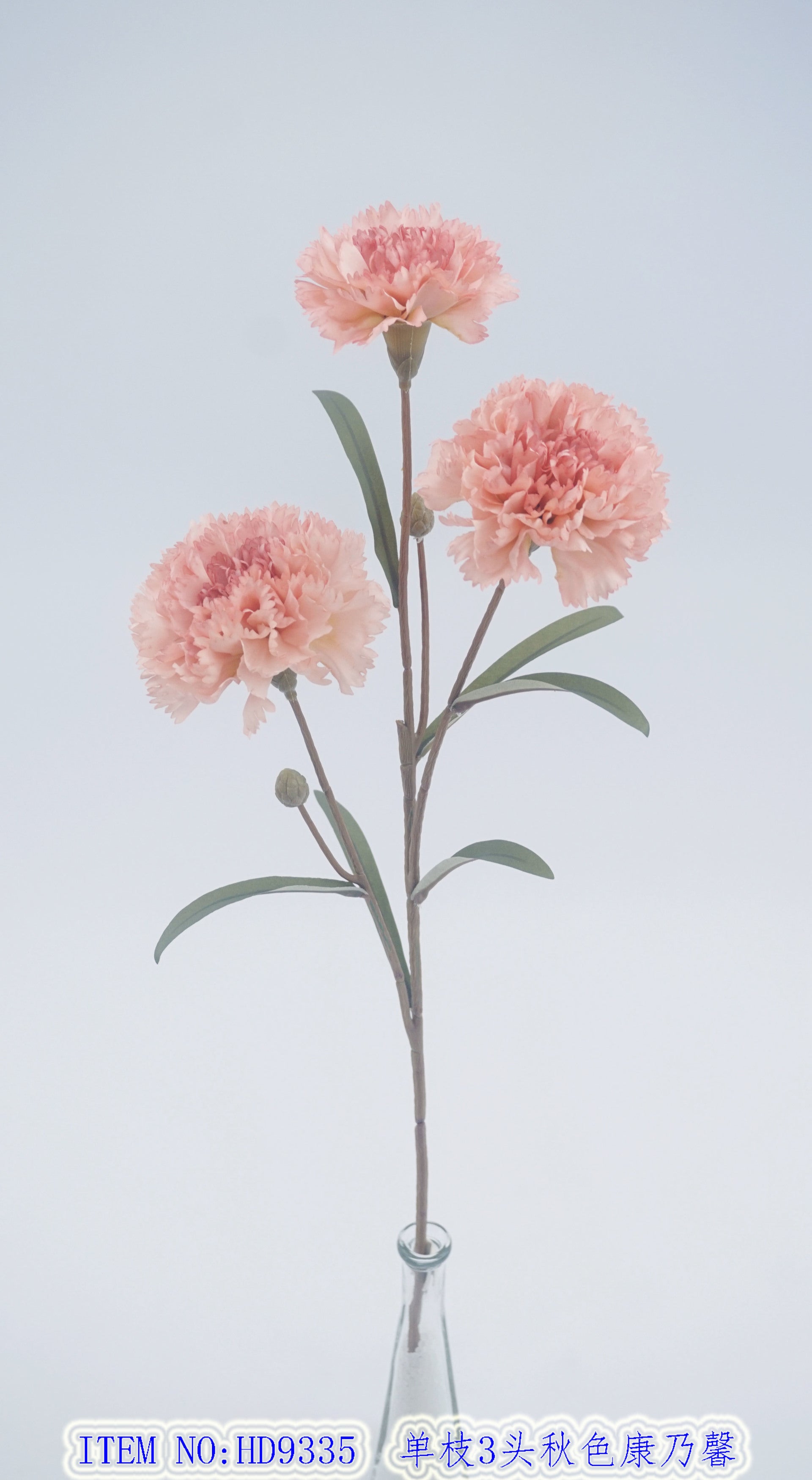 Single branch 3 head autumn carnation
