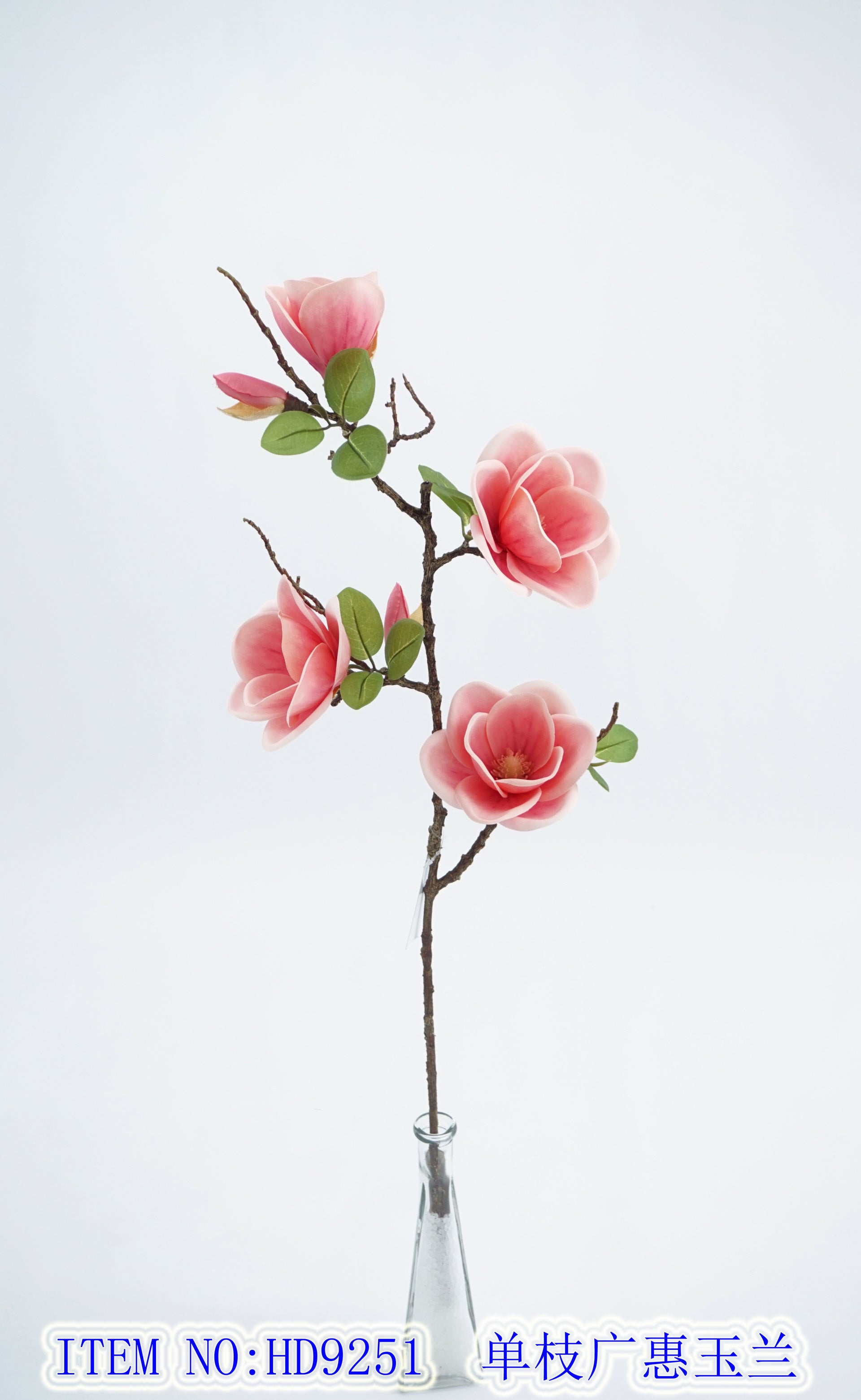 Single branch Guanghui Magnolia