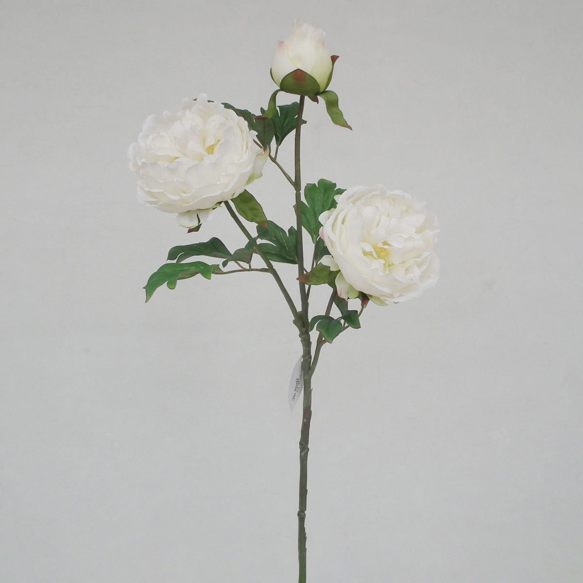 Single branch, 3 small peonies of national color