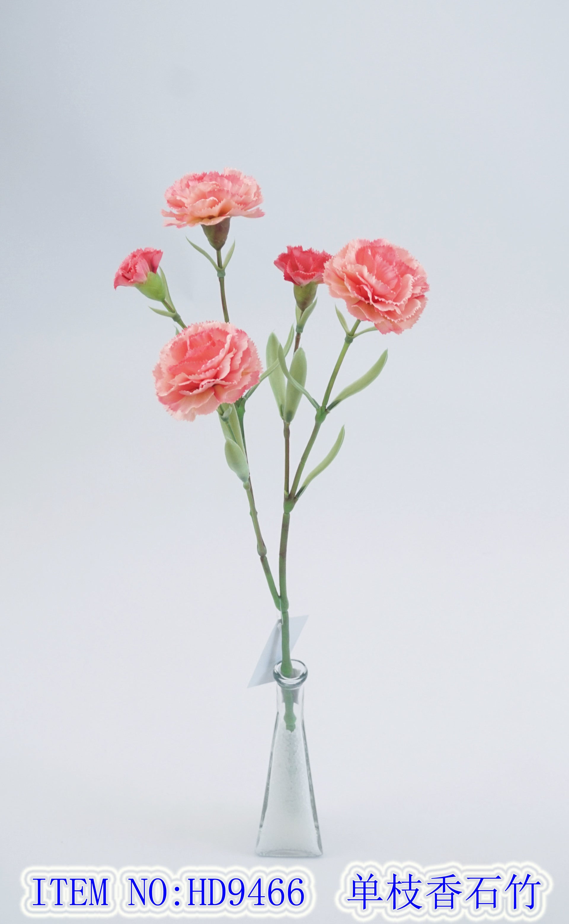 Single branch carnation