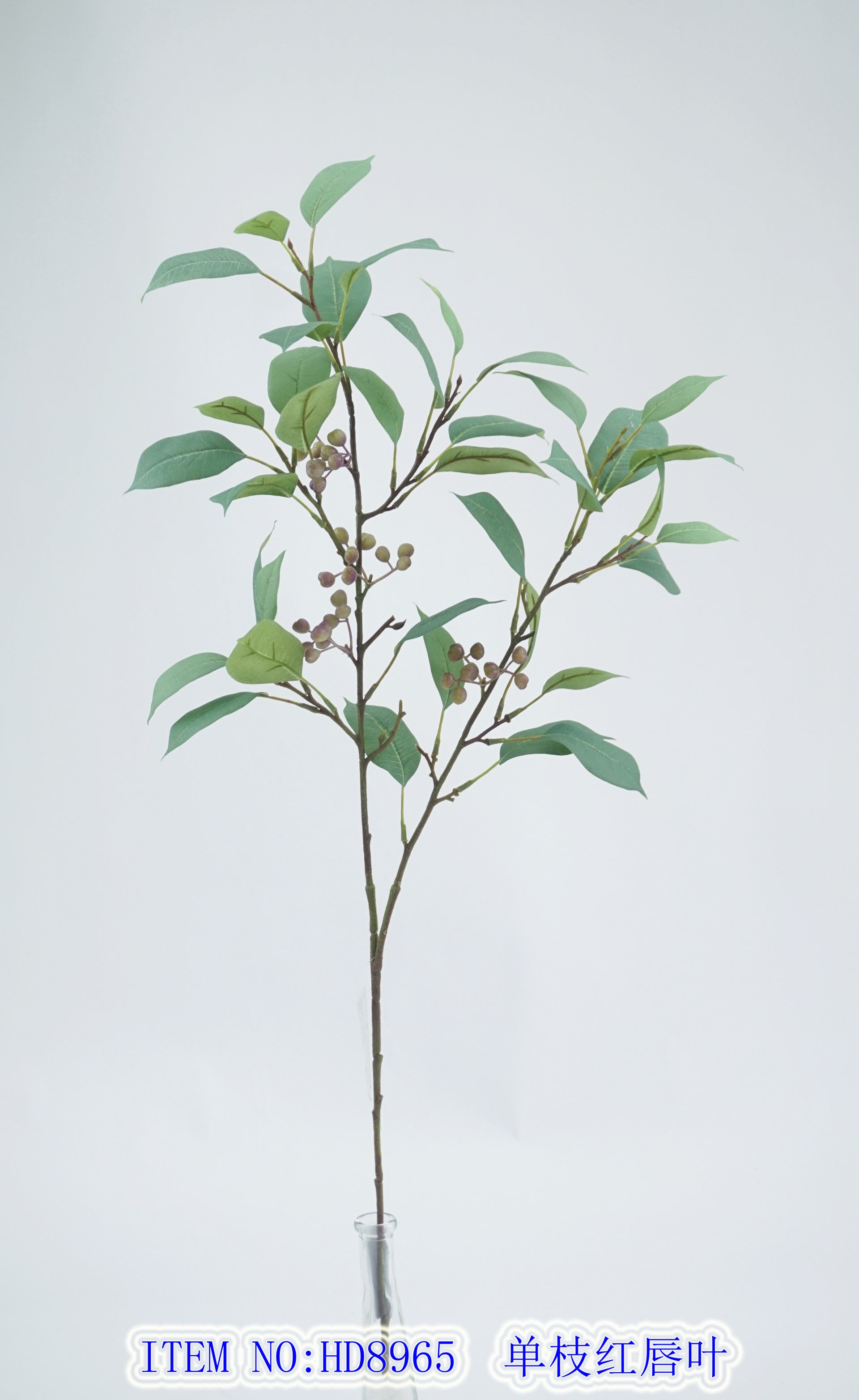 Single branch red-lipped leaf