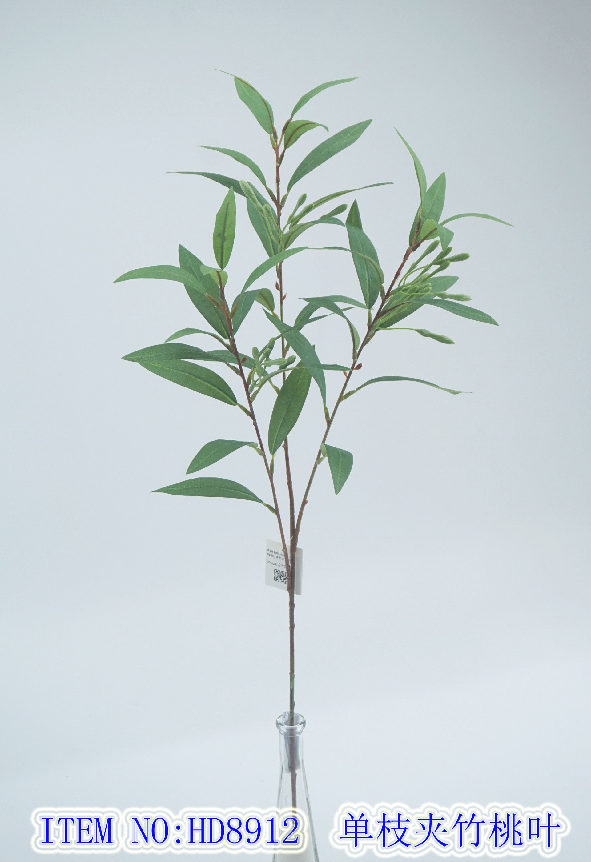 Single oleander leaf