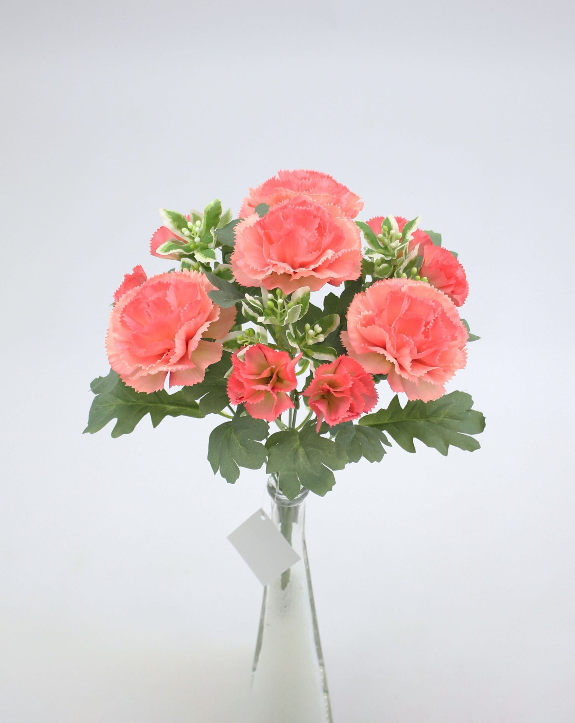 Small 7 Korean carnation