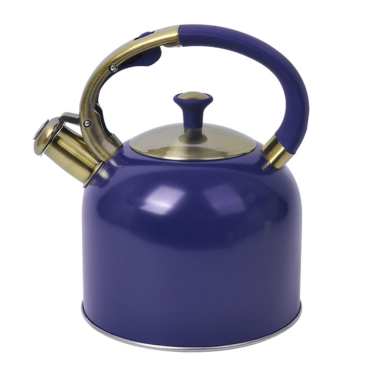 Stainless Steel Tea Whistling Water Kettle