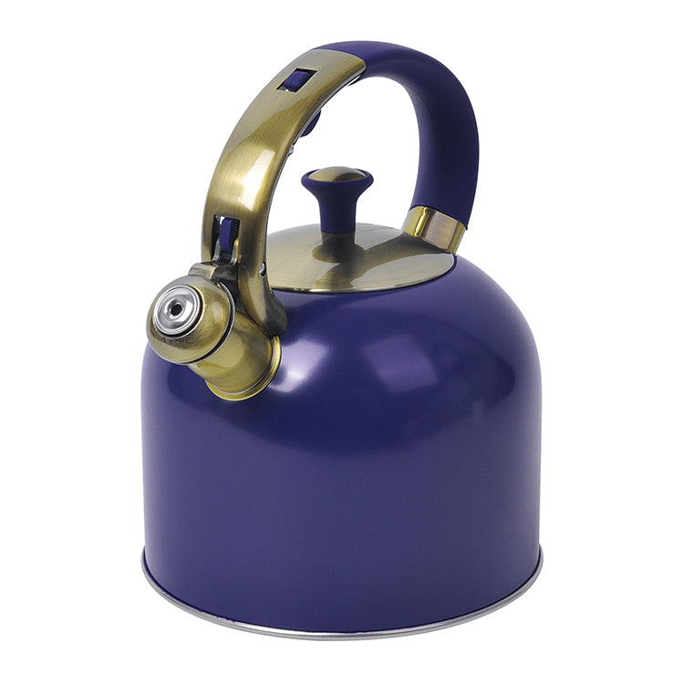 Stainless Steel Tea Whistling Water Kettle