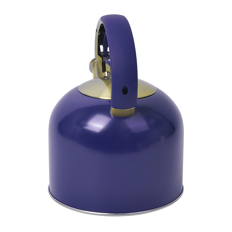 Stainless Steel Tea Whistling Water Kettle
