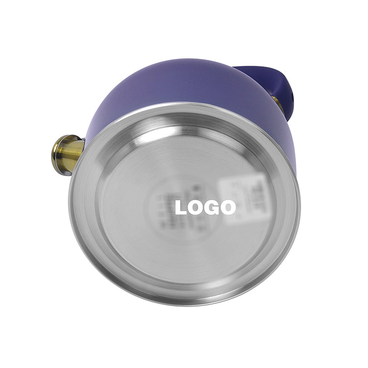 Stainless Steel Tea Whistling Water Kettle