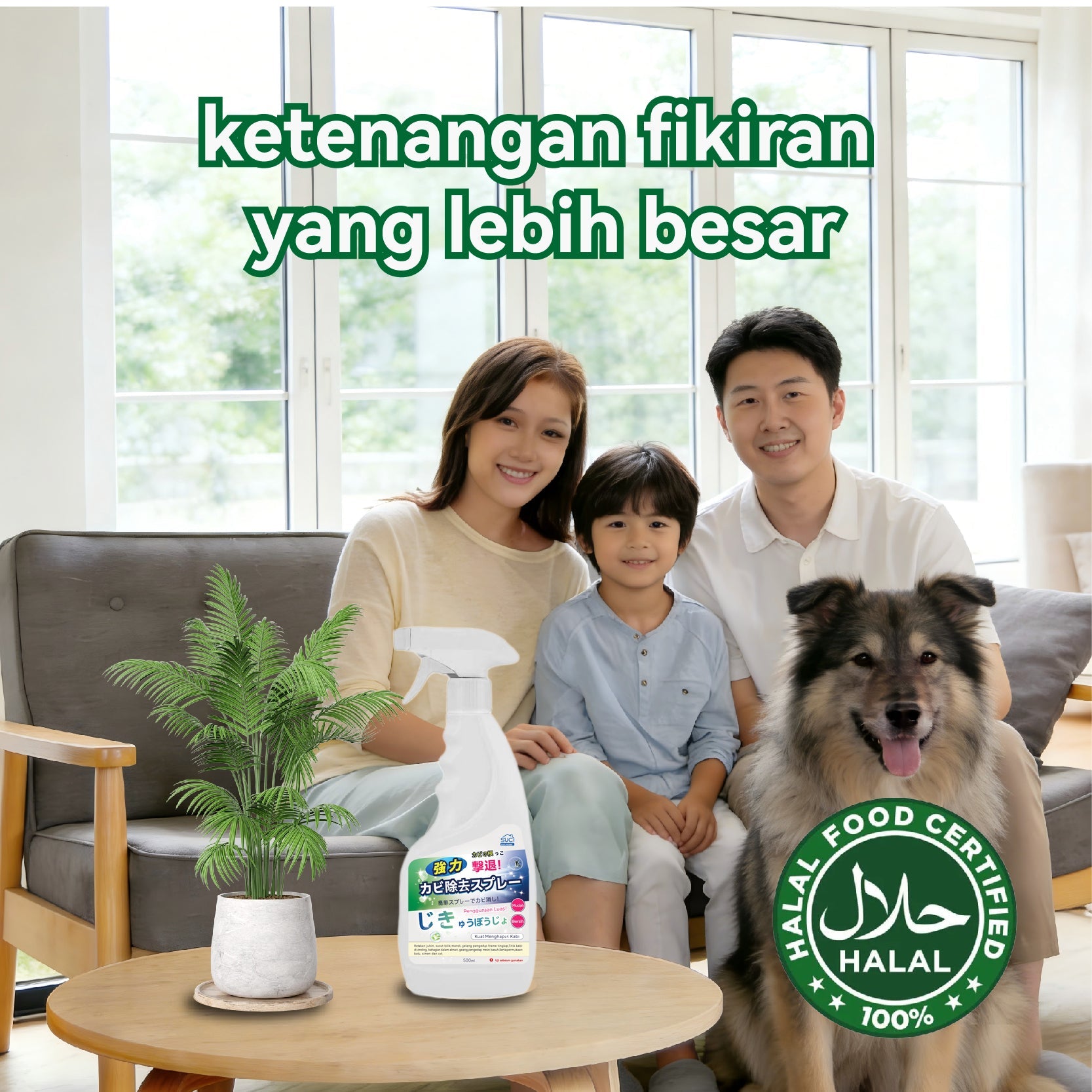 SUCIHOME Mold Remover